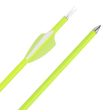 Archery Carbon Arrows, 12 pcs, 30 Inch Spine