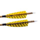12pcs Archery Mixed Carbon Arrows 31.5 Inch Turkey Feathers