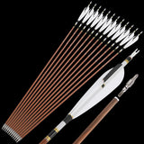 Pure Carbon Arrows, 12 pcs, 31 Inch Spine